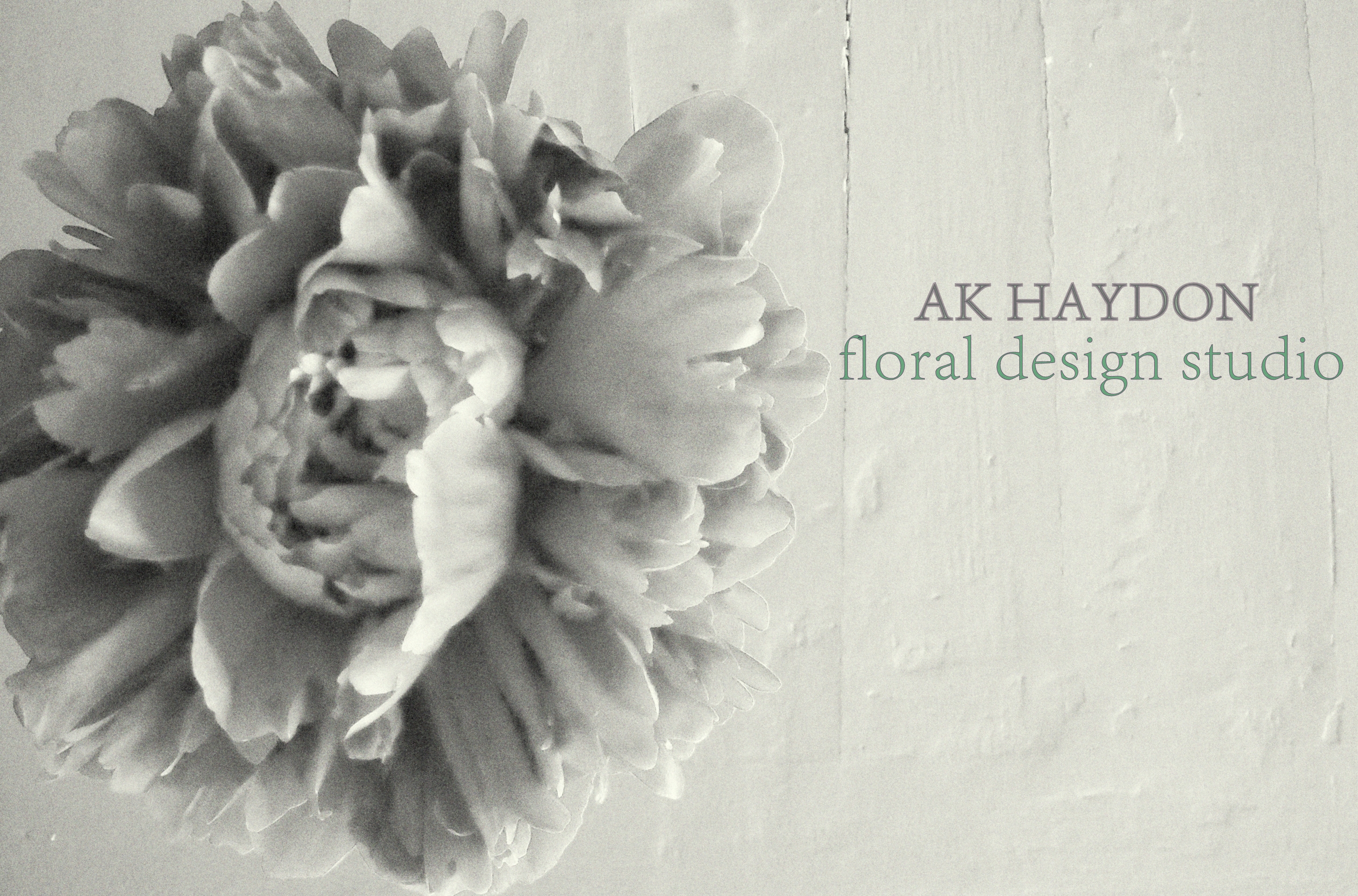 AK Haydon Logo