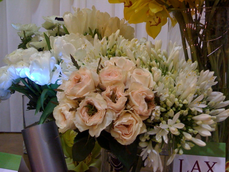 Mayesh - White flowers