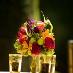Sasha Souza Centerpiece