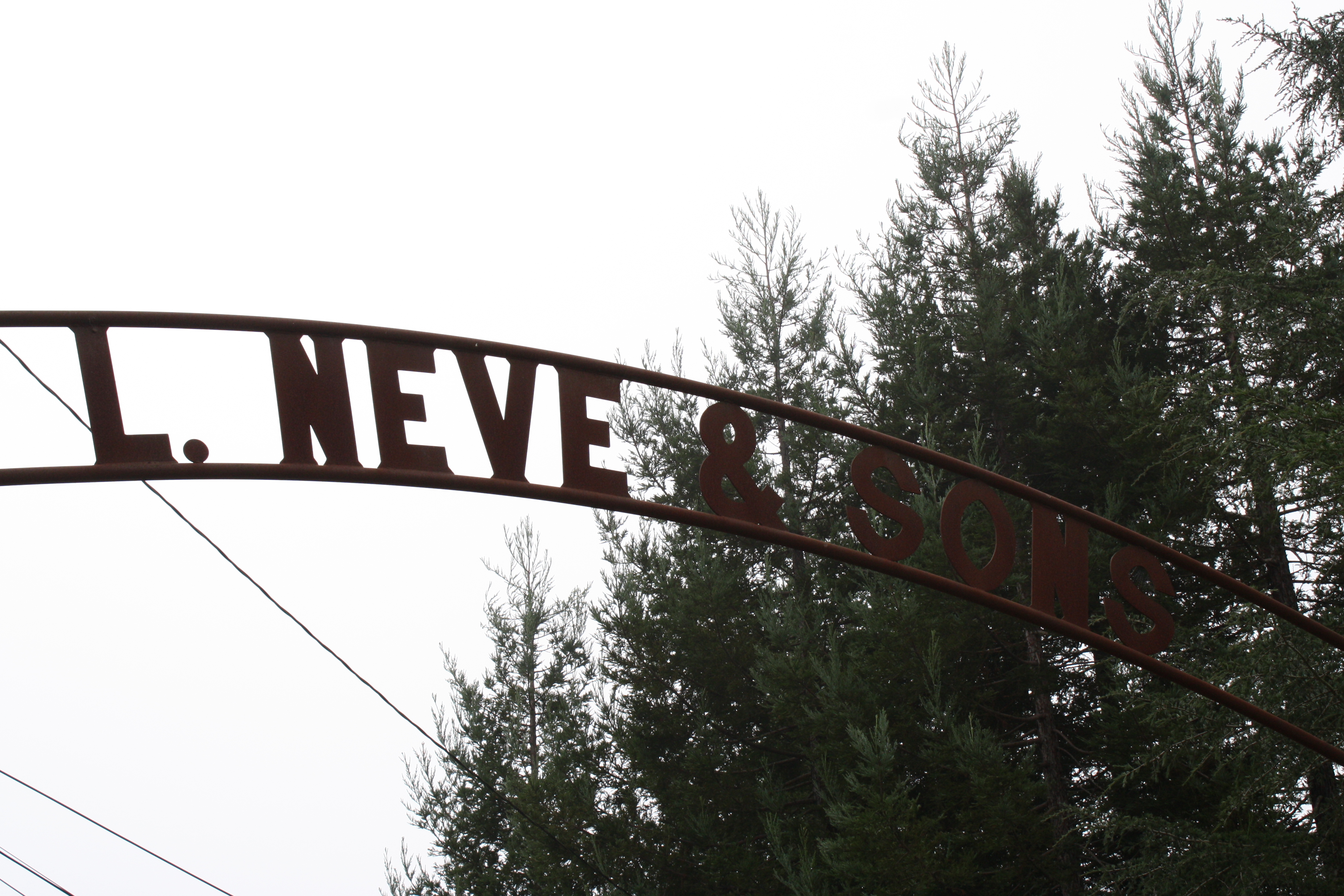 Neve & Sons