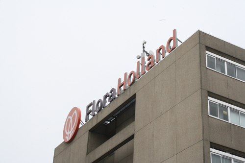 Arriving at Flora Holland
