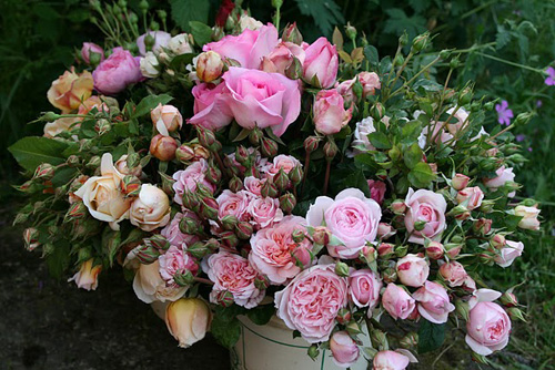 Floret Flower Farm – Flirty Fleurs The Florist Blog ...