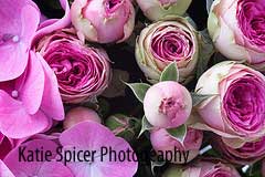 Katie_Spicer1