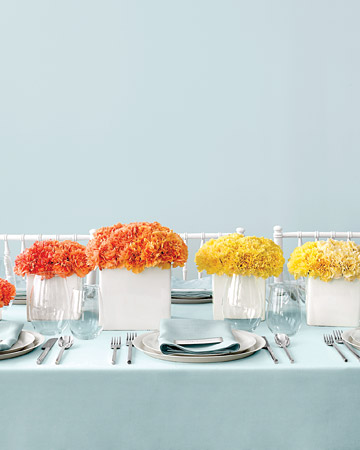 mwd103982_fal08_carnations_xl