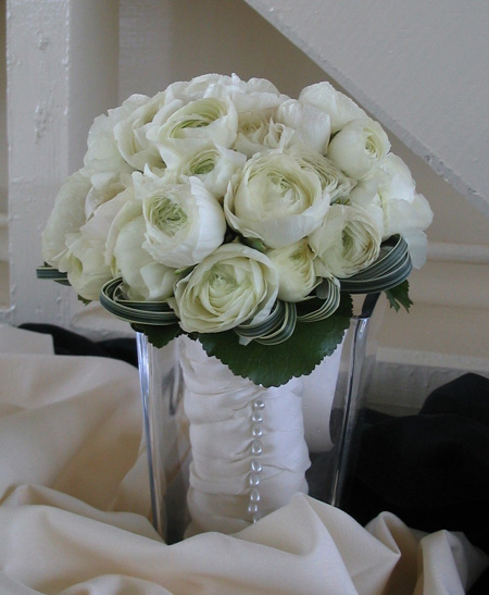 ranunculus