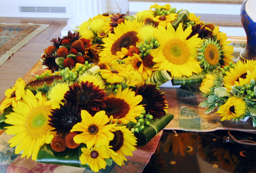 sunflowers coneflowers