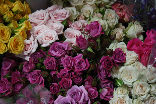 Amatos Sweetheart roses with buds
