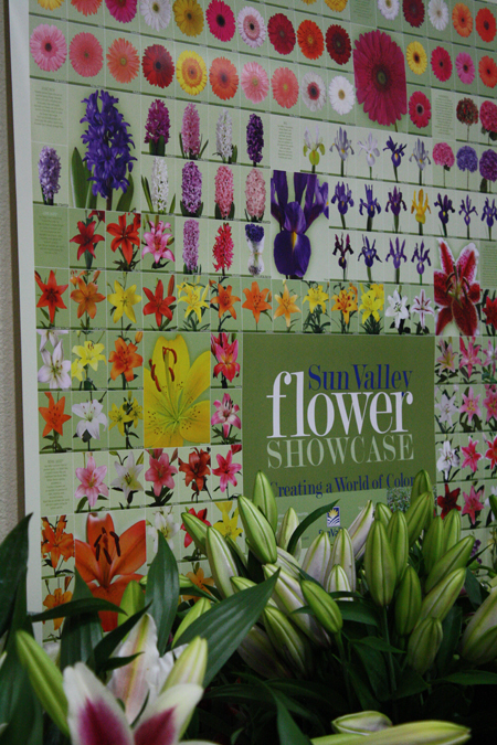 Sun Valley Display