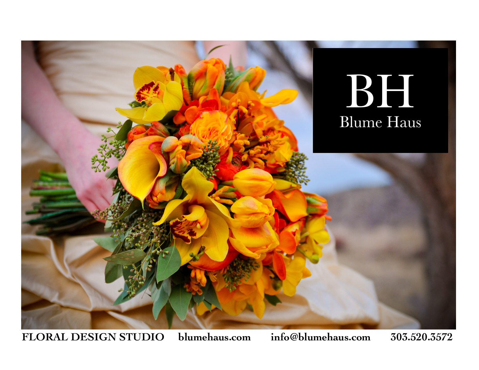 BH AD v.4 The Blume Haus Logo and Print AD