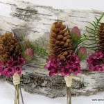 Sprout Flowers Pinecones waxflowers boutonniere