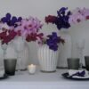 DSC01903-699x475