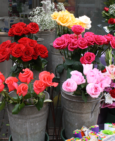galvanized pails holding roses