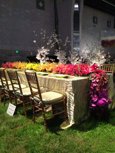 Sullivan Owen's Display