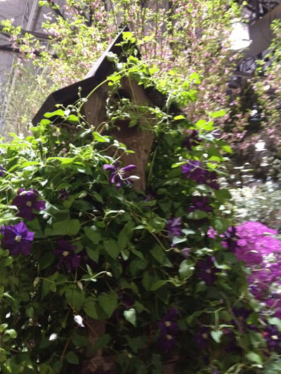 Philadelphia Flower Show
