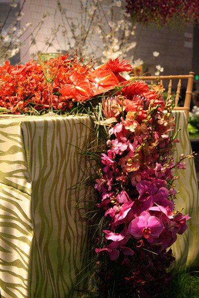 Sullivan Owen's Display