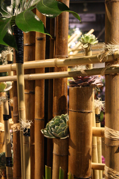 Philadelphia Flower Show
