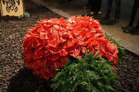 Philadelphia Flower Show