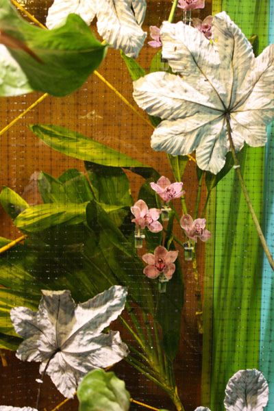 Philadelphia Flower Show