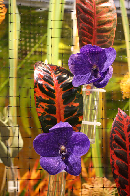 Philadelphia Flower Show