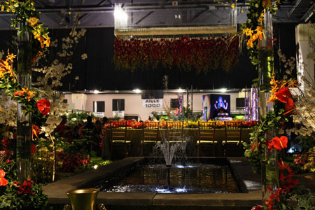 Sullivan Owen's Display