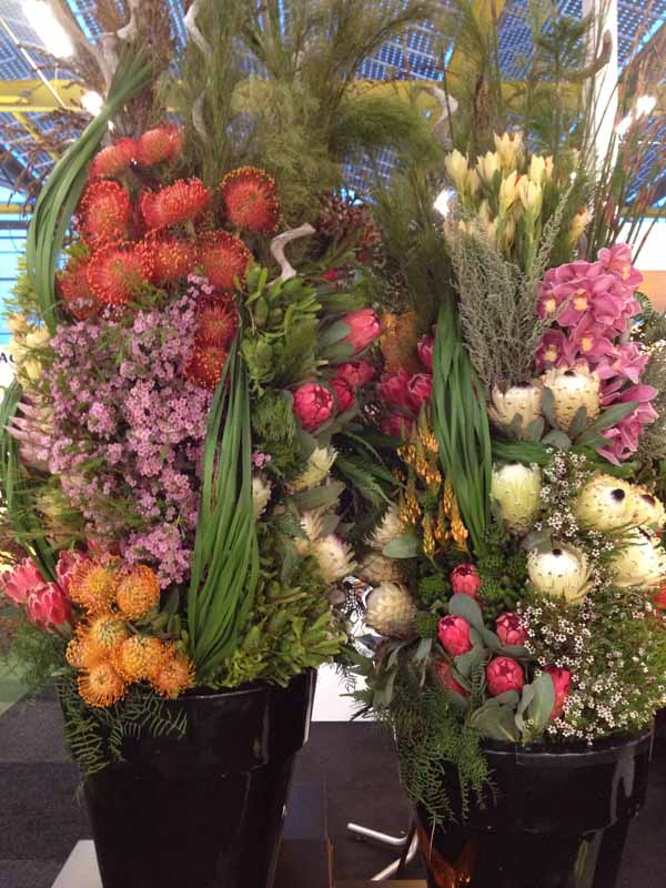 Protea and orchids